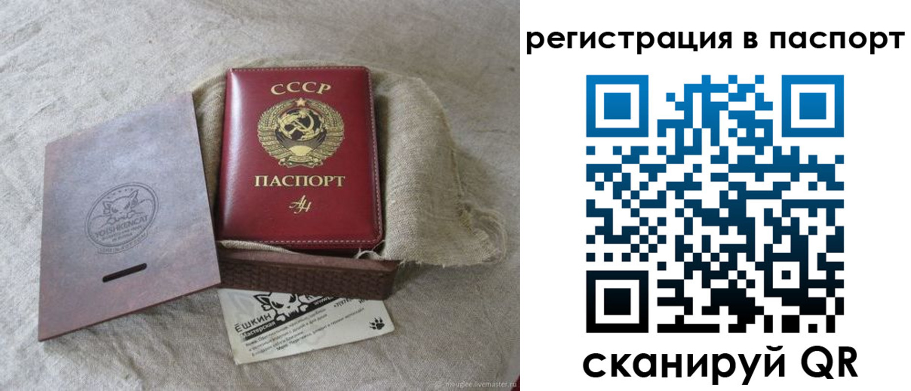 где прописаться в Ленинградской области